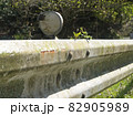 苔むしたガードレール 82905989