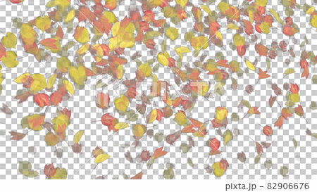 紅葉 もみじ モミジ カエデ アルファチャンネルのイラスト素材
