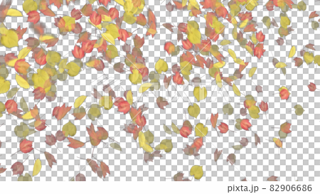 紅葉 もみじ モミジ カエデ アルファチャンネルのイラスト素材