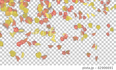 紅葉 もみじ モミジ カエデ アルファチャンネルのイラスト素材