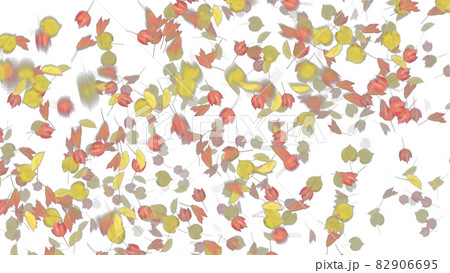 紅葉 もみじ モミジ カエデ アルファチャンネルのイラスト素材
