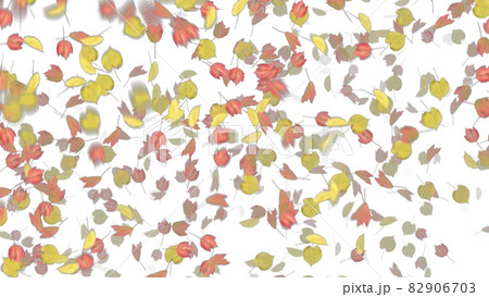 紅葉 もみじ モミジ カエデ アルファチャンネルのイラスト素材
