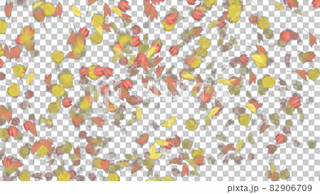 紅葉 もみじ モミジ カエデ アルファチャンネルのイラスト素材