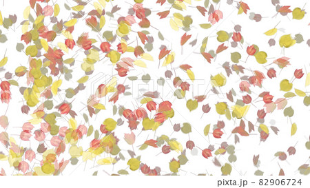 紅葉 もみじ モミジ カエデ アルファチャンネルのイラスト素材