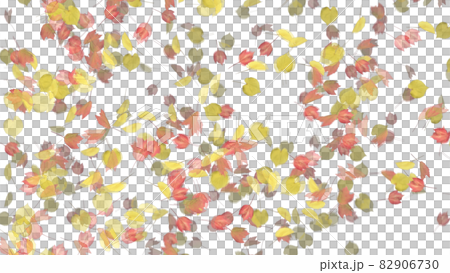 Autumn leaves maple maple alpha channel Autumn leaves maple maple alpha channel 82906730