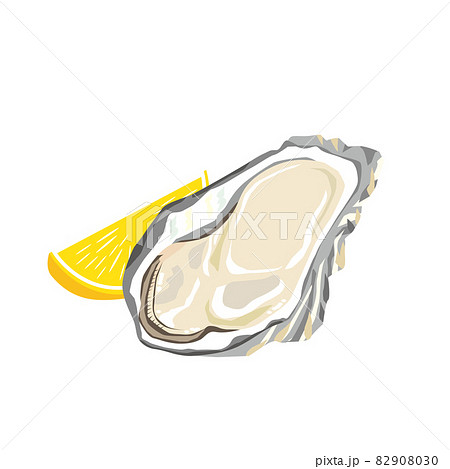 牡蠣のイラスト 82908030