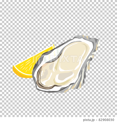 牡蠣のイラスト 82908030