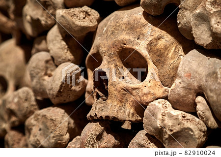 Skulls and bones in a wall 82910024