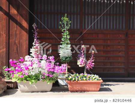 Small ornamental urban garden in Bikan district, Kurashiki, Japan 82910446