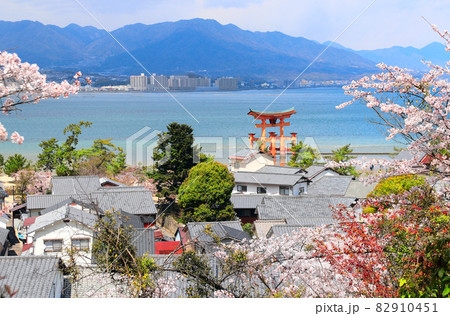Floating Torii gate, Itsukushima Shrine, Miyajima island, Japan 82910451