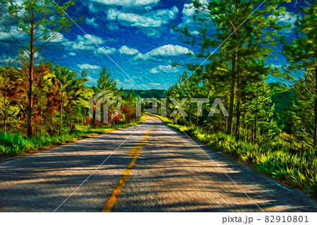 Paved road with trees at the Petar Park in Brazil Paved road with trees at the Petar Park in Brazil 82910801
