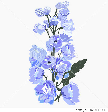 Delphinium vector stock illustration. Larkspur blooming flowers. Blue winter peony buds. Isolated on white background. Elegant detailed botanical drawing of wild flowering plant. Invitation. 82911344