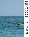 ビーチ 夏 景色 82911456