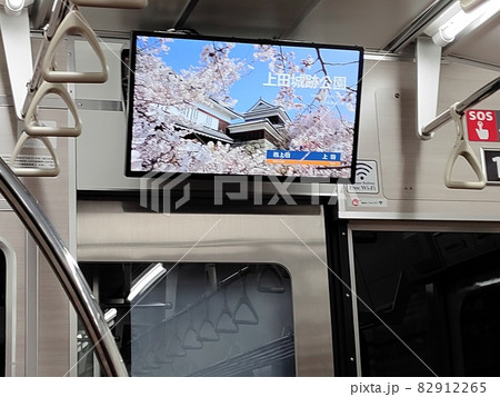 テレビモニタで春の季節の桜を観る 82912265