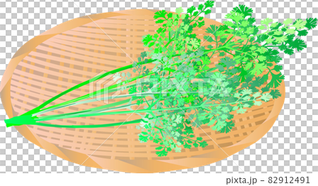 Pakuchi (coriander) colander Pakuchi (coriander) colander 82912491