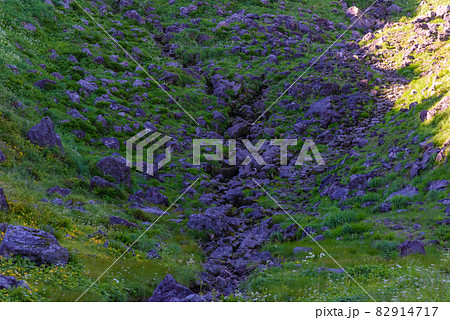 鳥海山 矢島口 賽の河原 鳥海山 矢島口 賽の河原 82914717