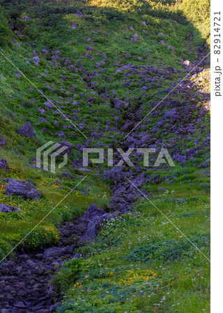 鳥海山 矢島口 賽の河原 鳥海山 矢島口 賽の河原 82914721