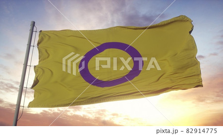 Intersex pride flag waving in the wind, sky and sun background. 3d rendering Intersex pride flag waving in the wind, sky and sun background. 3d rendering 82914775