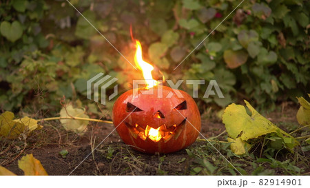Halloween pumpkin burns with real fire. Jack lantern lies on the ground at the holiday. Halloween pumpkin burns with real fire. Jack lantern lies on the ground at the holiday. 82914901
