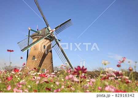 コスモスフェスタ コスモスフェスタ 82916342