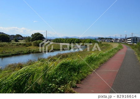 日野市浅川　ふれあい橋 82916614