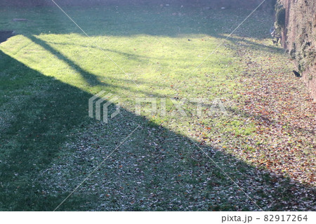 スフォルツェスコ城の中、堀に落ちる西日と影と芝生景観 スフォルツェスコ城の中、堀に落ちる西日と影と芝生景観 82917264