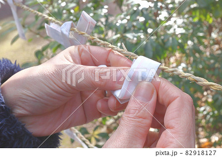 おみくじを結ぶ おみくじを結ぶ 82918127