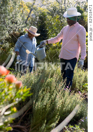 African american senior couple wearing hats, gardening, watering plats outdoors African american senior couple wearing hats, gardening, watering plats outdoors 82918471
