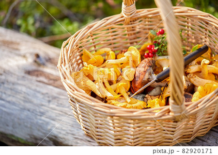 close up of mushrooms in basket in forest 82920171