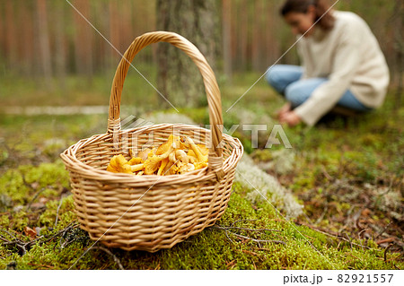 young woman picking mushrooms in autumn forest young woman picking mushrooms in autumn forest 82921557