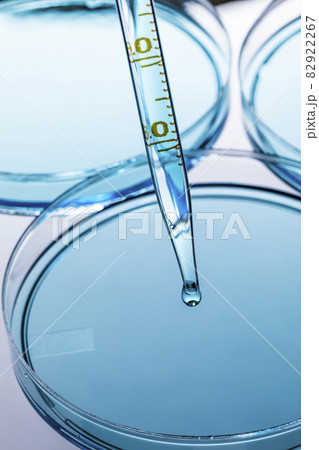 Petri dish with blue liquid and pipette Petri dish with blue liquid and pipette 82922267