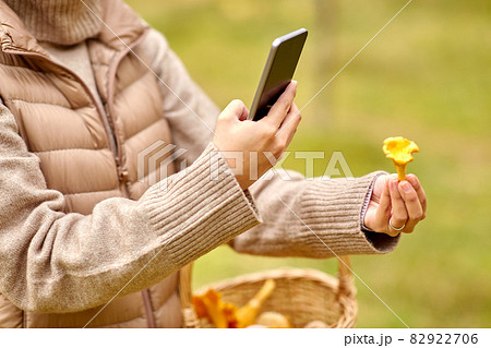 woman using smartphone to identify mushroom 82922706