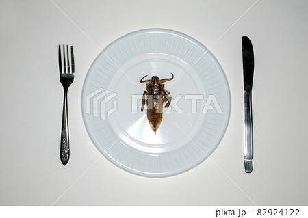 Overhead view of insect in plate for dinner 82924122