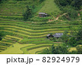 Rice fields on terraced of Mu Cang Chai, YenBai, Vietnam. Beautiful landscapes with mountain hills valley. Rice fields on terraced beautiful shape. Paddy rice terraces in countryside 82924979