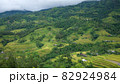 Rice fields on terraced of Mu Cang Chai, YenBai, Vietnam. Beautiful landscapes with mountain hills valley. Rice fields on terraced beautiful shape. Paddy rice terraces in countryside 82924984