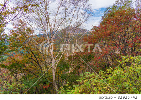 (福島県)磐梯吾妻スカイライン(天狗の庭)の紅葉と吾妻小富士 (福島県)磐梯吾妻スカイライン(天狗の庭)の紅葉と吾妻小富士 82925742