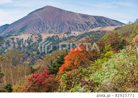 （福島県）磐梯吾妻スカイライン（天狗の庭）の紅葉と吾妻小富士 82925771