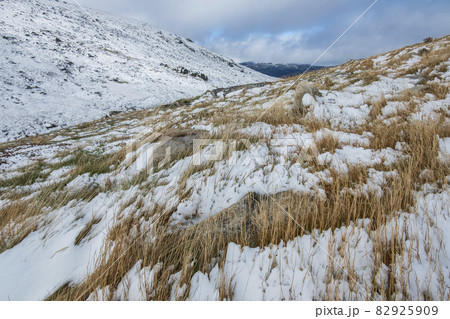 Australia, New South Wales, Mountain grass covered with snow at Charlotte Pass in Kosciuszko National Park 82925909