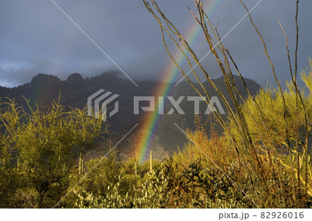 USA, Arizona, Tucson, Rainbow in landscape with mountains in background USA, Arizona, Tucson, Rainbow in landscape with mountains in background 82926016