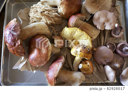 Tray of wild mushrooms foraged from the forest 82926017