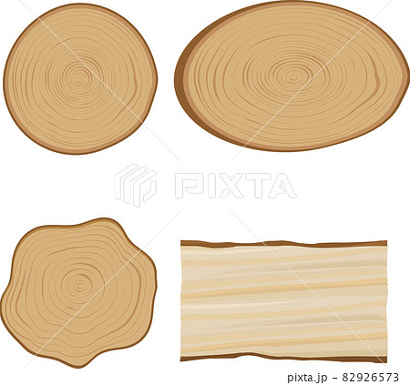 木材の断面のベクターイラストのイラスト素材