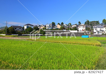 快晴の中荻野の風景《厚木市》 快晴の中荻野の風景《厚木市》 82927427