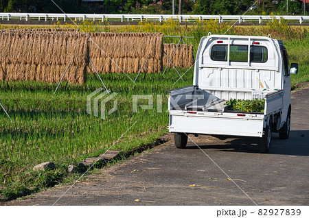 秋の田んぼと農耕車《愛川町》 82927839