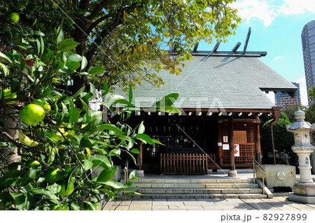 東京都中央区佃 住吉神社 東京都中央区佃 住吉神社 82927899