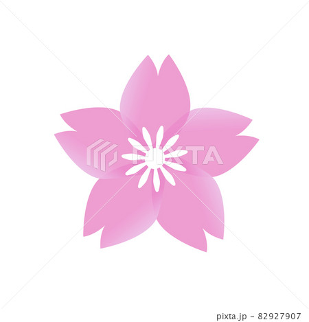 ピンク色でシンプルな桜の花のイラスト 82927907