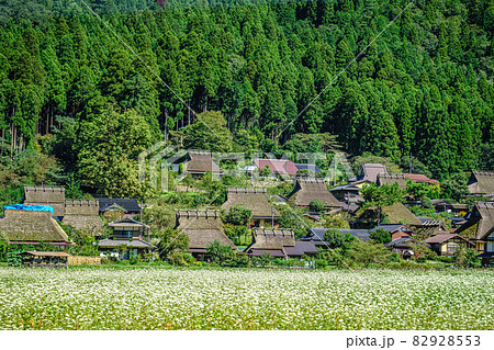 京都府・美山かやぶきの里　秋 82928553