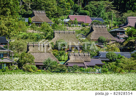 京都府・美山かやぶきの里 秋 京都府・美山かやぶきの里 秋 82928554