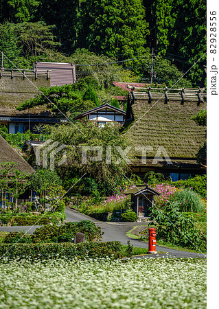 京都府・美山かやぶきの里 秋 京都府・美山かやぶきの里 秋 82928556