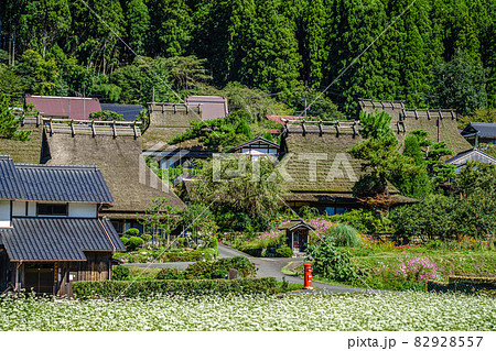 京都府・美山かやぶきの里 秋 京都府・美山かやぶきの里 秋 82928557