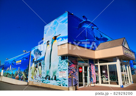 越前松島水族館 82929200